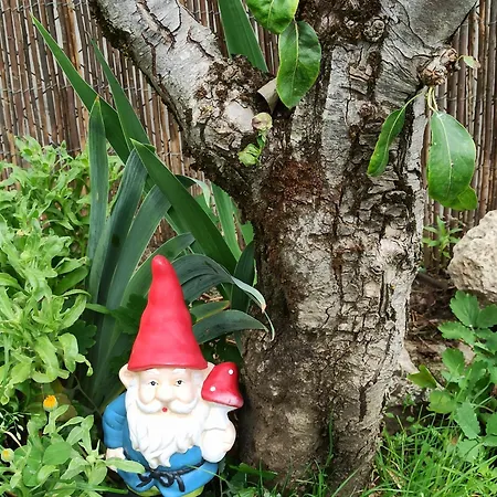 公寓 La Catalpa Arasan